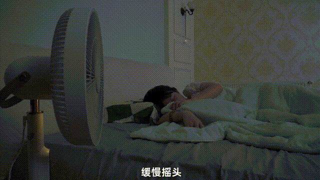 有它谁还买3000+的某森循环扇啊！(图13)
