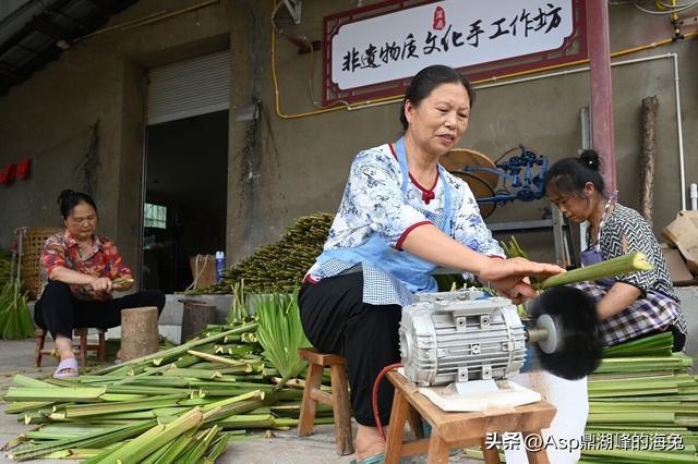 四川内江：东兴区杨家镇金银嘴村是有名的“蒲扇村”制作蒲扇忙(图3)