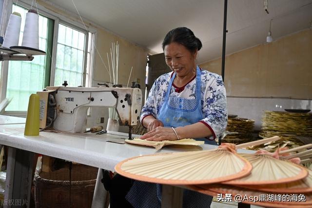 四川内江：东兴区杨家镇金银嘴村是有名的“蒲扇村”制作蒲扇忙(图2)