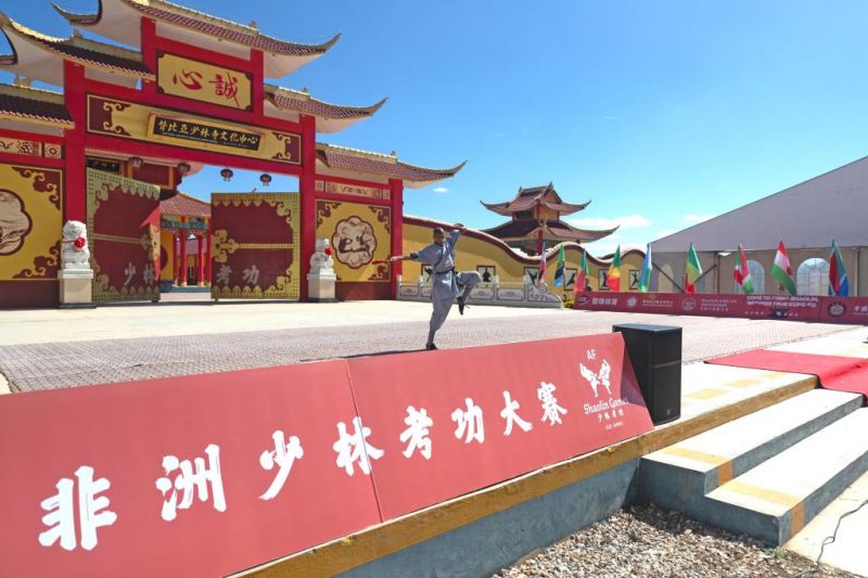 学习中国功夫为非洲“洋弟子”打开一扇窗(图3)