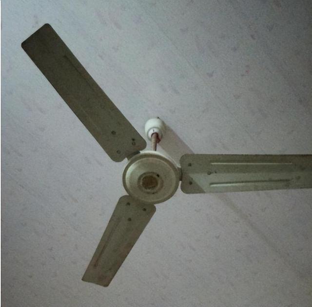 2015年天津一家四口做馄饨吃完三人殒命屋顶吊扇成“帮凶”