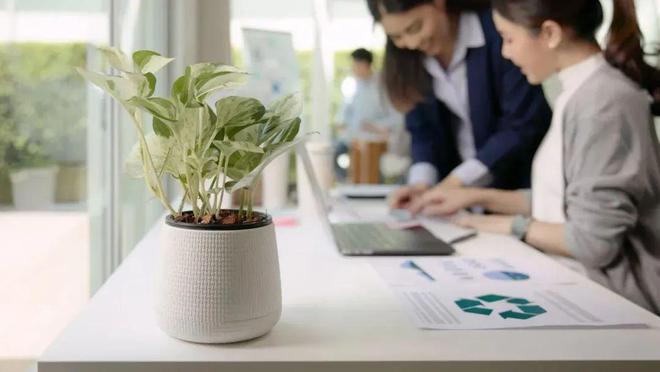 为什么你一上班就很想死答案如下(图5)