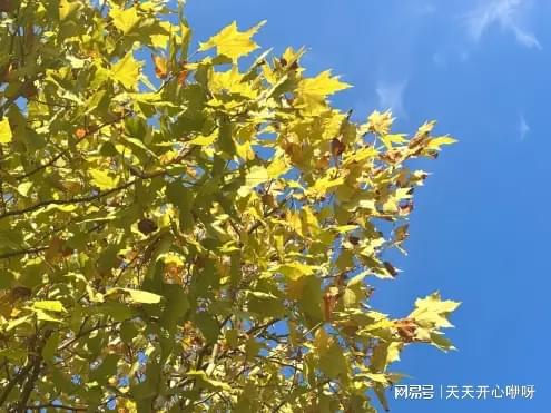 乔思伯推出ZB系列风扇：联体设计、配360°四面镜(图1)