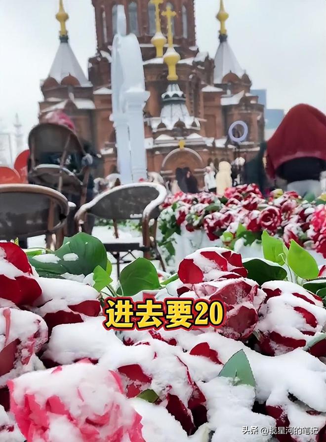 两姐妹3天花3711块玩转哈尔滨？白狐抱了早市吃了还嘎嘎出片(图3)