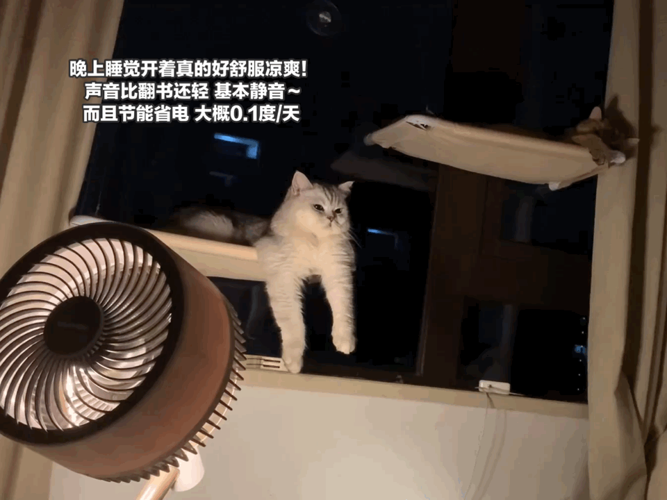 空气循环扇真的比普通风扇更好用吗？一起来听听过来人怎么说(图9)