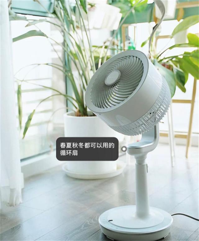 空气循环扇真的比普通风扇更好用吗？一起来听听过来人怎么说(图11)