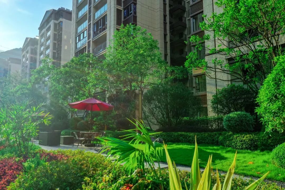 万家灯火“兴”悦美好2024年兴进集团交付图鉴(图7)