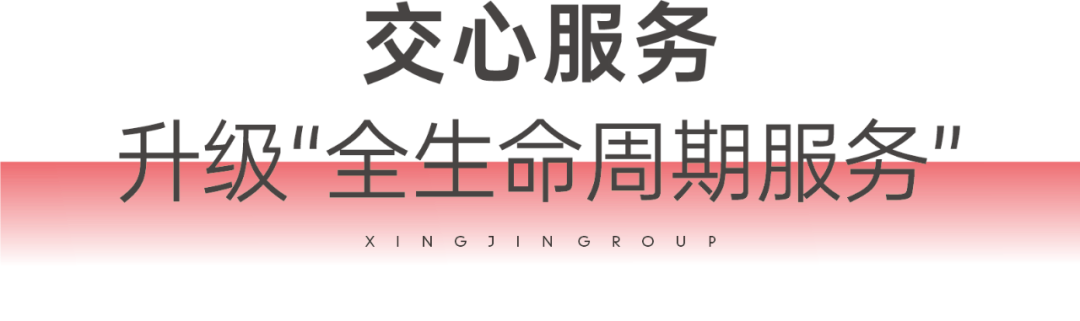 万家灯火“兴”悦美好2024年兴进集团交付图鉴(图8)