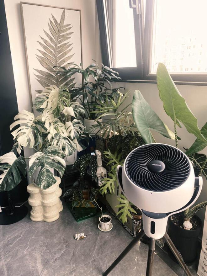 因高温天走红的“空气循环扇”值得买吗？用了半个月说说感受(图14)