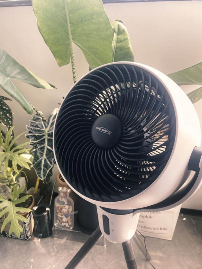 因高温天走红的“空气循环扇”值得买吗？用了半个月说说感受(图13)