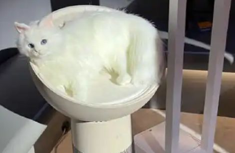 直击CES2025一同探寻环境健康电器领域最新趋势与动向热文洞察(图2)