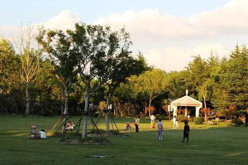 泗泾绿中海(售楼处)-泗泾绿中海2024网站最新发布网站(图22)