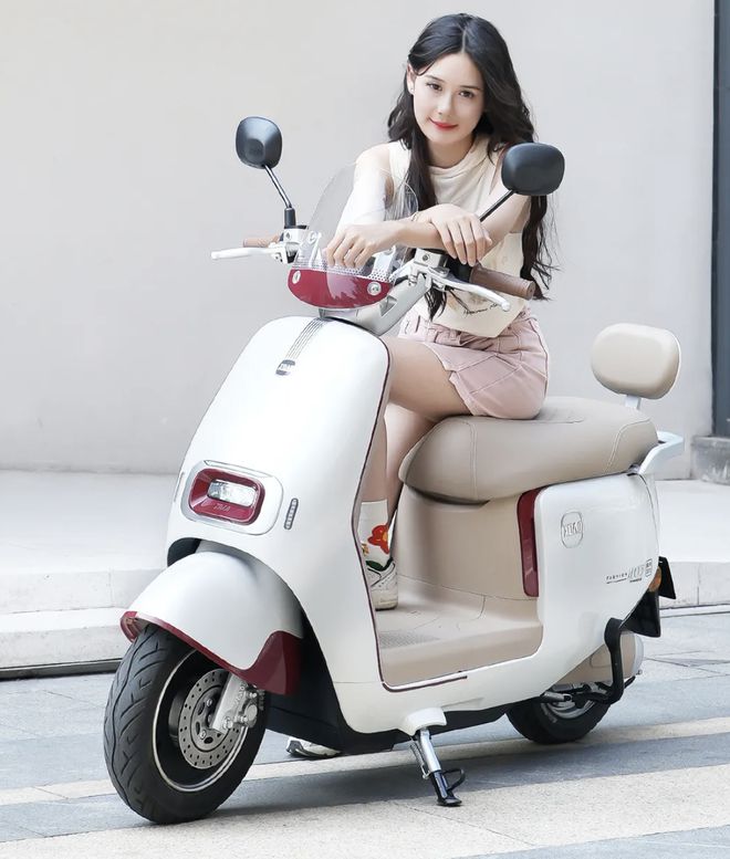 推荐3款电摩！新日、绿源、小刀都有哪些优质车型？(图6)