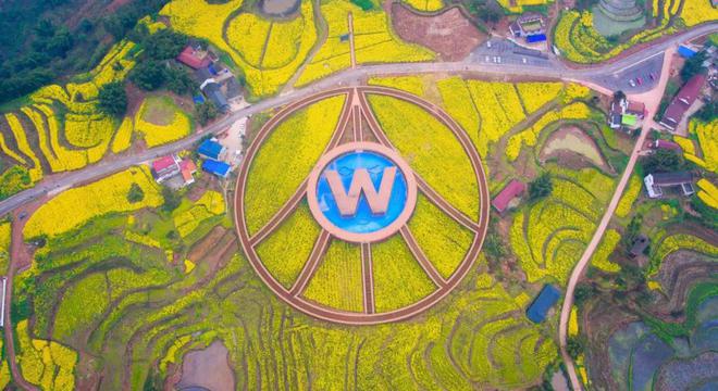 五粮液限时拿下！52°的浓香型白酒天花板！(图5)