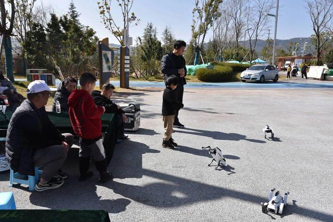 春节遛娃天花板！中济海19个研学项目承包整个寒假(图2)