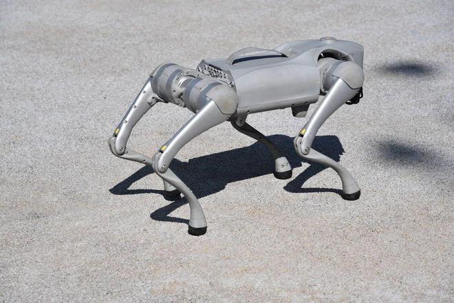 春节遛娃天花板！中济海19个研学项目承包整个寒假(图3)