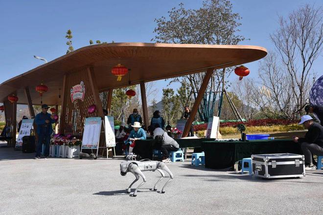 春节遛娃天花板！中济海19个研学项目承包整个寒假(图5)