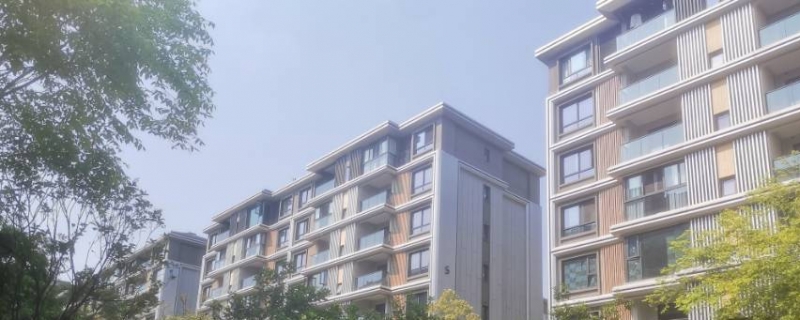 女子大量养猫扰民被判迁出猫网友：自私自利的表现