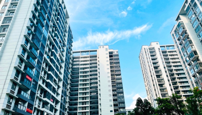 女子大量养猫扰民被判迁出猫网友：自私自利的表现(图2)