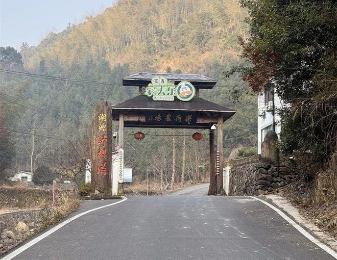 鲜美！富阳男子养的跑山鸡火了杭州人上海人都慕名赶来！