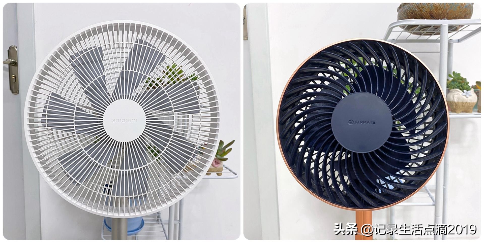 循环扇跟普通电风扇有什么区别(哪个更实用)(图4)