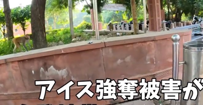 日本女子独自前往印度夜晚挤进满是男性的火车网友：后果自负(图18)