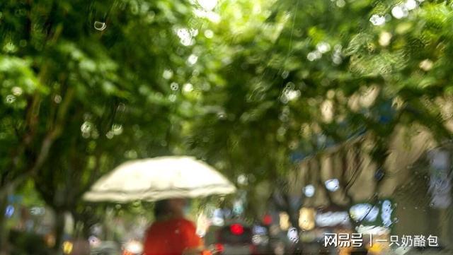 2025江浙沪入梅偏早！梅雨季提前来这些准备不做要吃亏