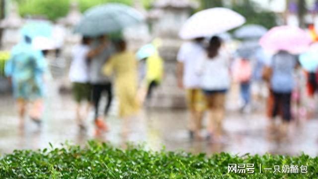 2025江浙沪入梅偏早！梅雨季提前来这些准备不做要吃亏(图2)