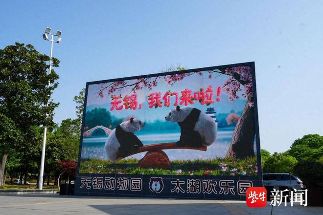 “驾临”无锡一周后大熊猫“渝宝”“加悦悦”与市民见面(图1)