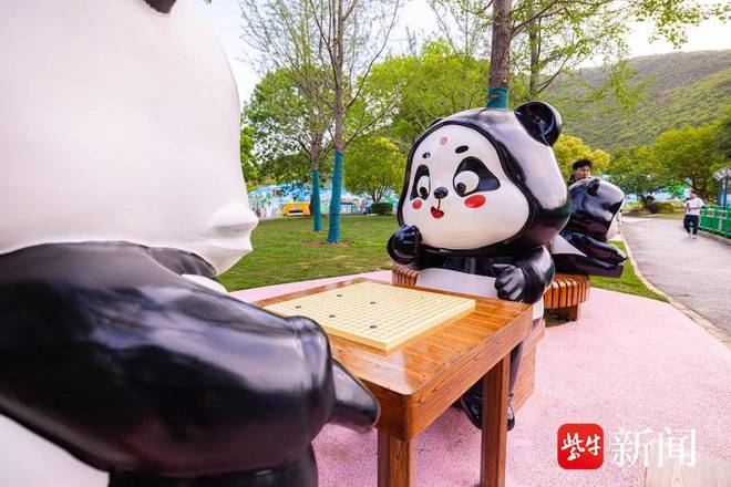 “驾临”无锡一周后大熊猫“渝宝”“加悦悦”与市民见面(图6)