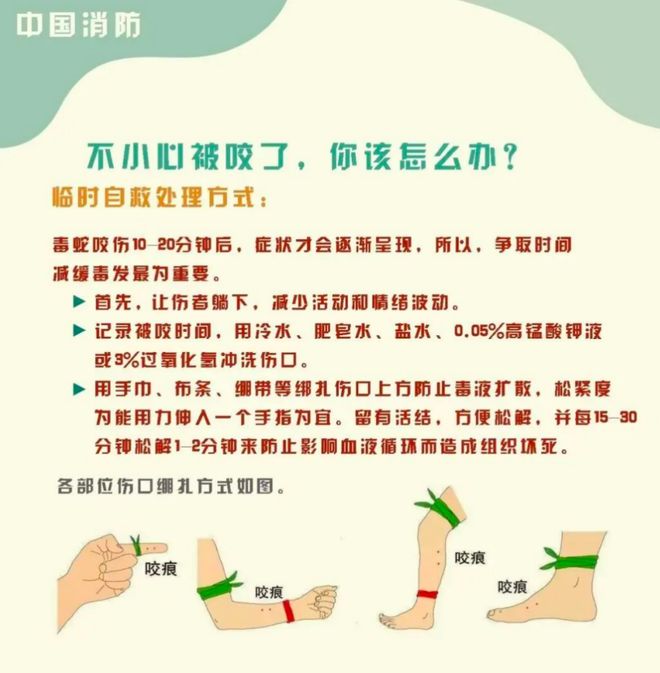 “三亚旅游被不明物咬伤身亡27岁女子”死亡记录：曾诊断为不明生物咬伤(神经毒蛇)等(图6)