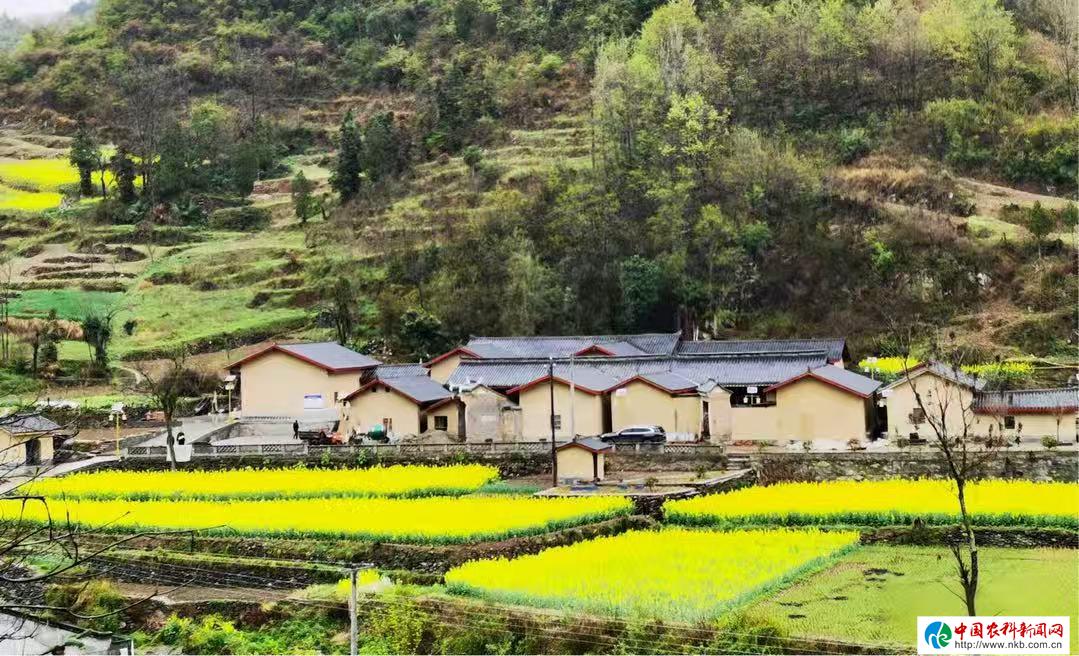 中国农科新闻网(图3)