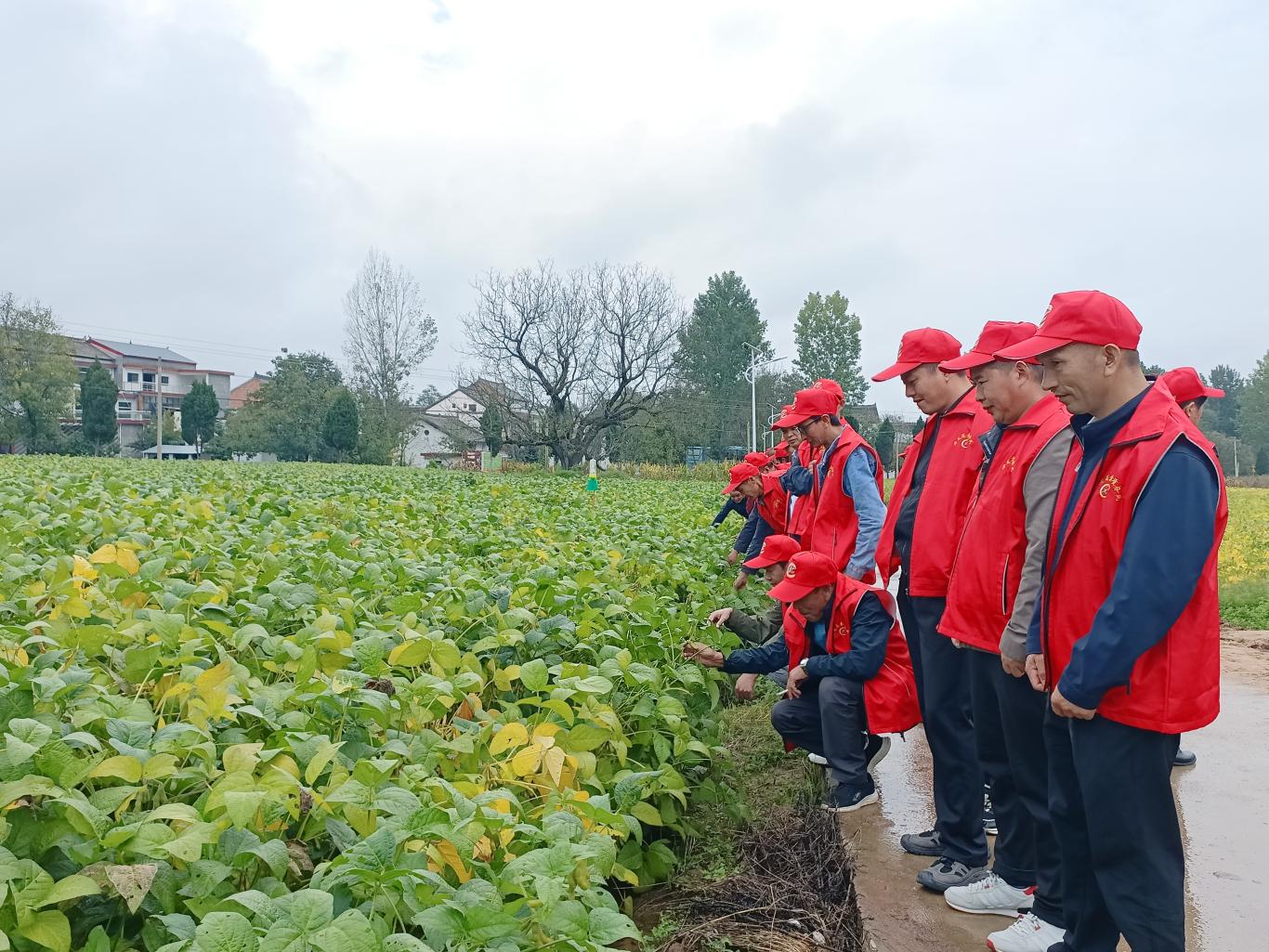 丹凤县2025年高素质农民粮油单产提升培训班举行(图3)