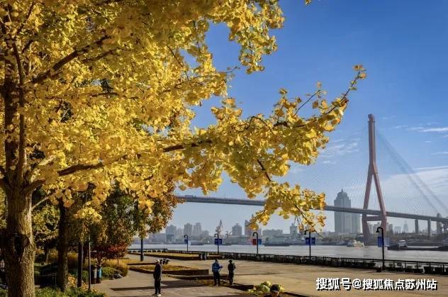 瑞安翠湖滨江(售楼处)首页网站-瑞安翠湖滨江2025营销中心(售楼中心)-周边环境-户型-价格-地址-楼盘详情-小区配套-处电话-交房时间(图3)