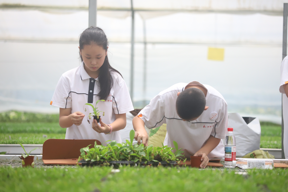 叩开实验室大门培育未来科学家——2025年泉州市“探秘实验室”科学教育实践活动综述(图4)
