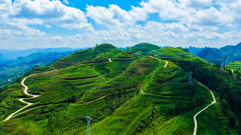 普定交通五年蝶变：新增路网绘蓝图路通业兴谱新篇