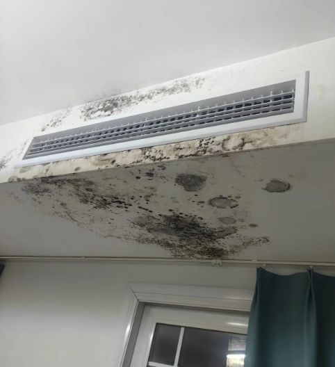 家庭霉菌反复除不干净？这份选购+使用全指南救你