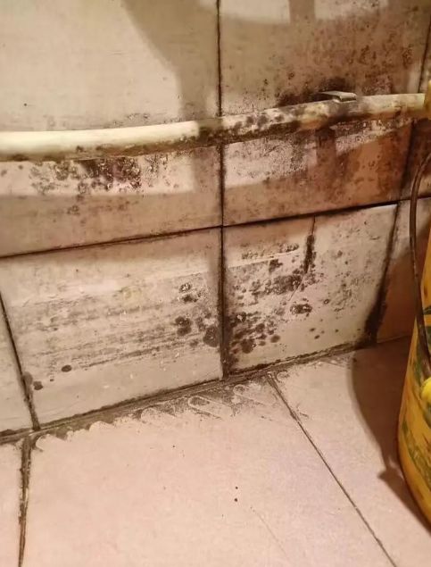 家庭霉菌反复除不干净？这份选购+使用全指南救你(图3)