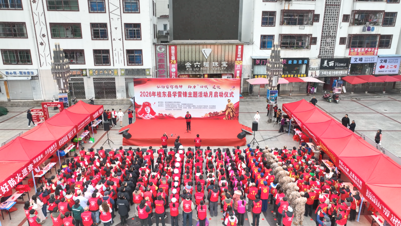 弘扬雷锋精神助力“四城”建设——桂东县“学雷锋主题活动月”正式启动(图1)