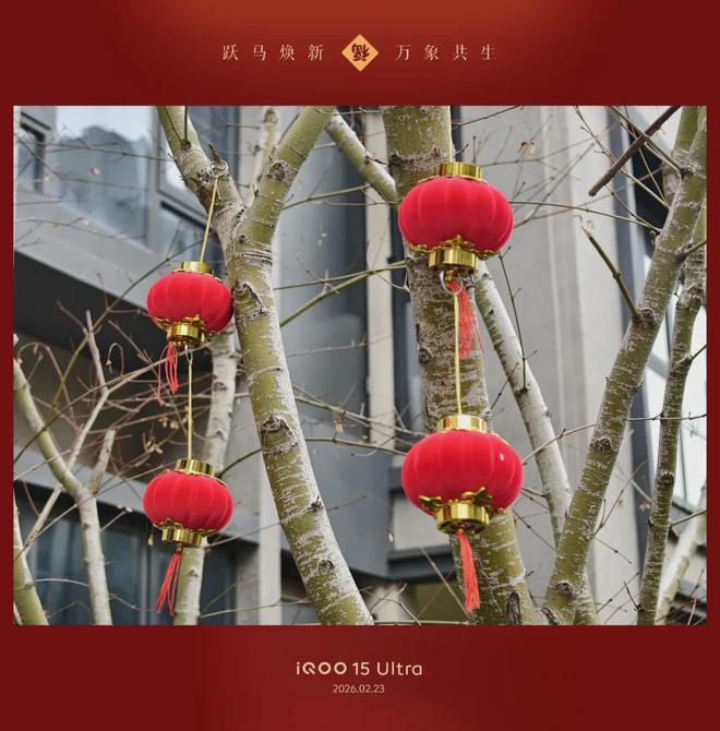 iQOO15Ultra手机评测：更懂游戏的头号玩家(图16)