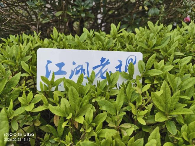 iQOO15Ultra手机评测：更懂游戏的头号玩家(图19)