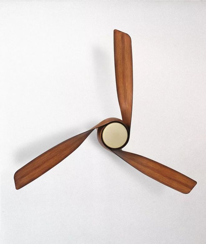 好看是它最不重要的优点！吹面不寒杨柳风、夏天冬天都能用一盏风扇灯让你家的天花板不再无聊伽罗精选(图2)