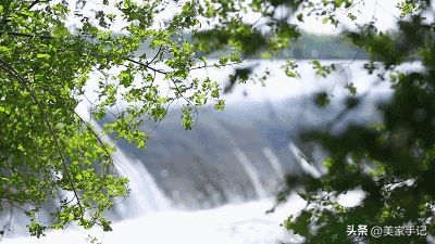 买了两台电风扇一台60多一台600多对比后发现区别太明显了(图13)