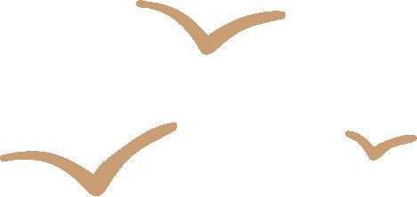 社区文化嘉年华！解锁多彩生活的N种新玩法(图1)