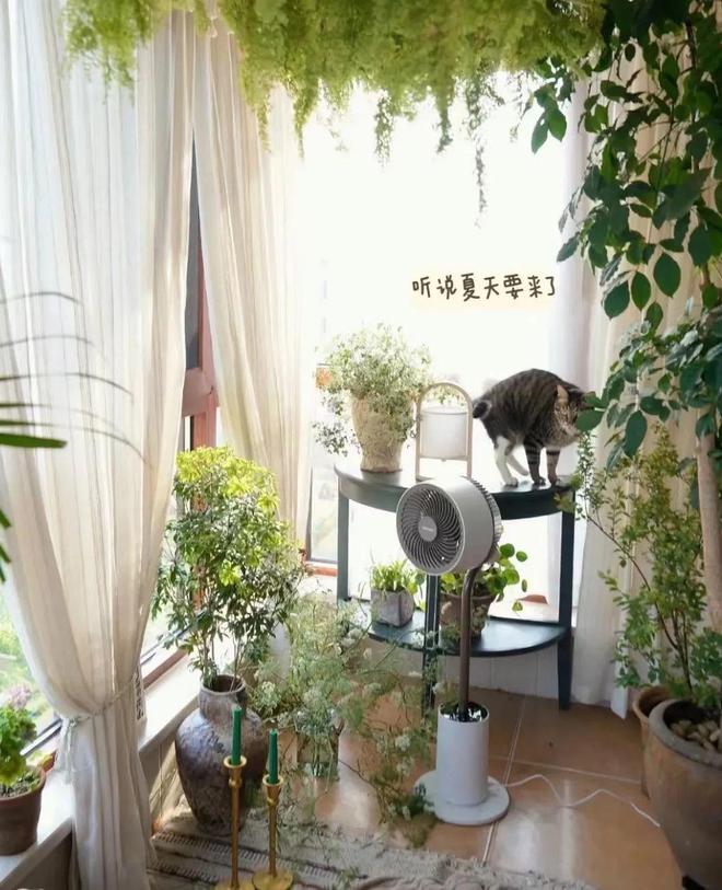 这才是风扇中的高档货！既是循环扇也是落地台灯还能消毒杀菌！(图5)