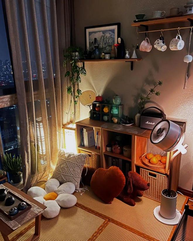 这才是风扇中的高档货！既是循环扇也是落地台灯还能消毒杀菌！(图24)