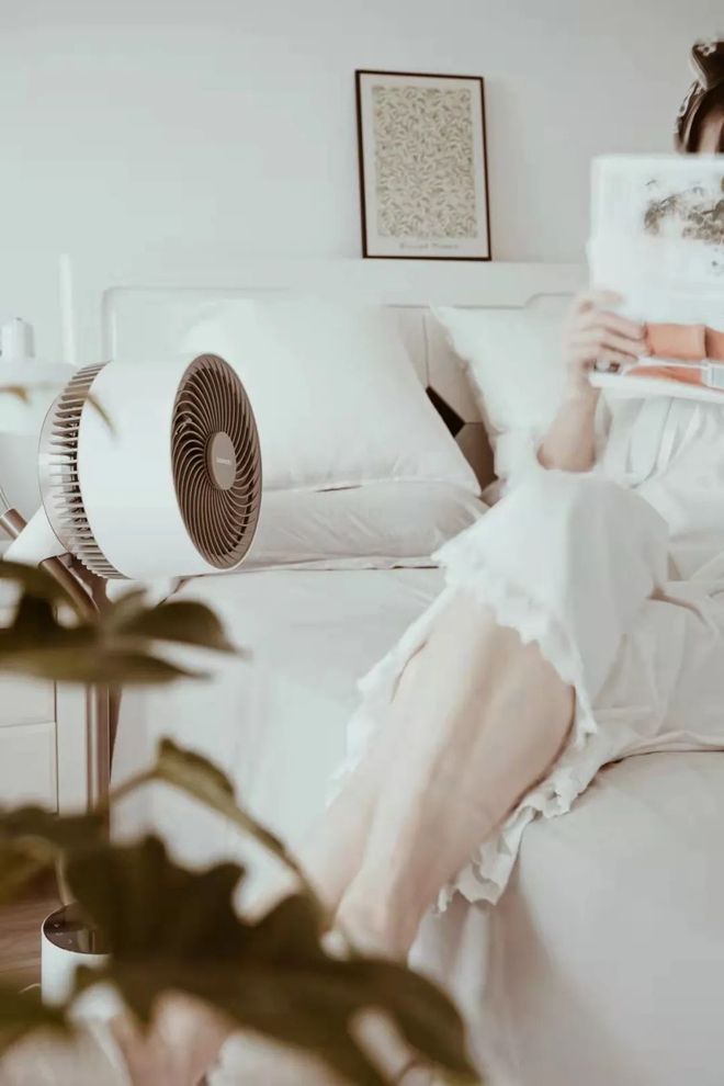 这才是风扇中的高档货！既是循环扇也是落地台灯还能消毒杀菌！(图15)