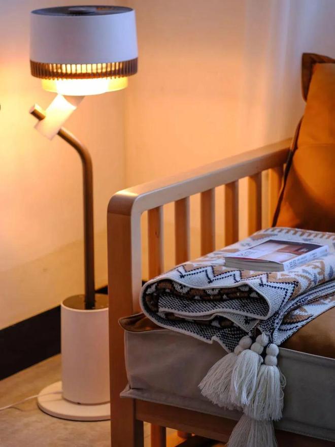 这才是风扇中的高档货！既是循环扇也是落地台灯还能消毒杀菌！(图23)